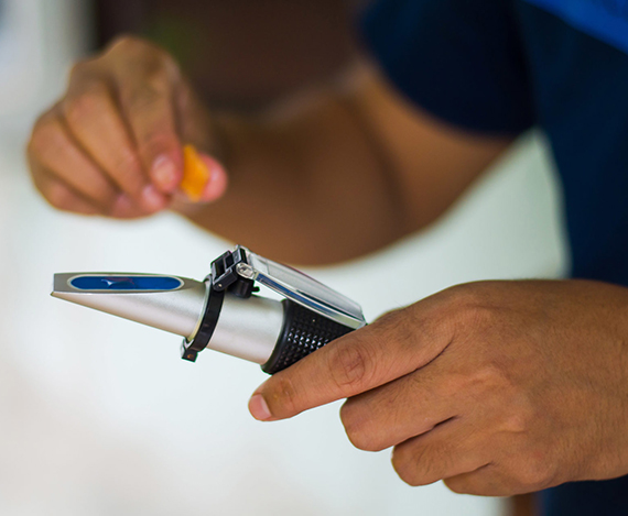 腾博会官网·专业效劳,诚信为本